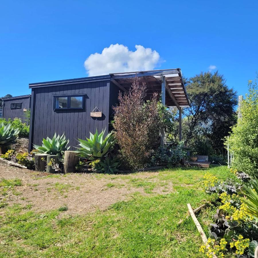 Wild Days Accommodation Palm Beach Εξωτερικό φωτογραφία